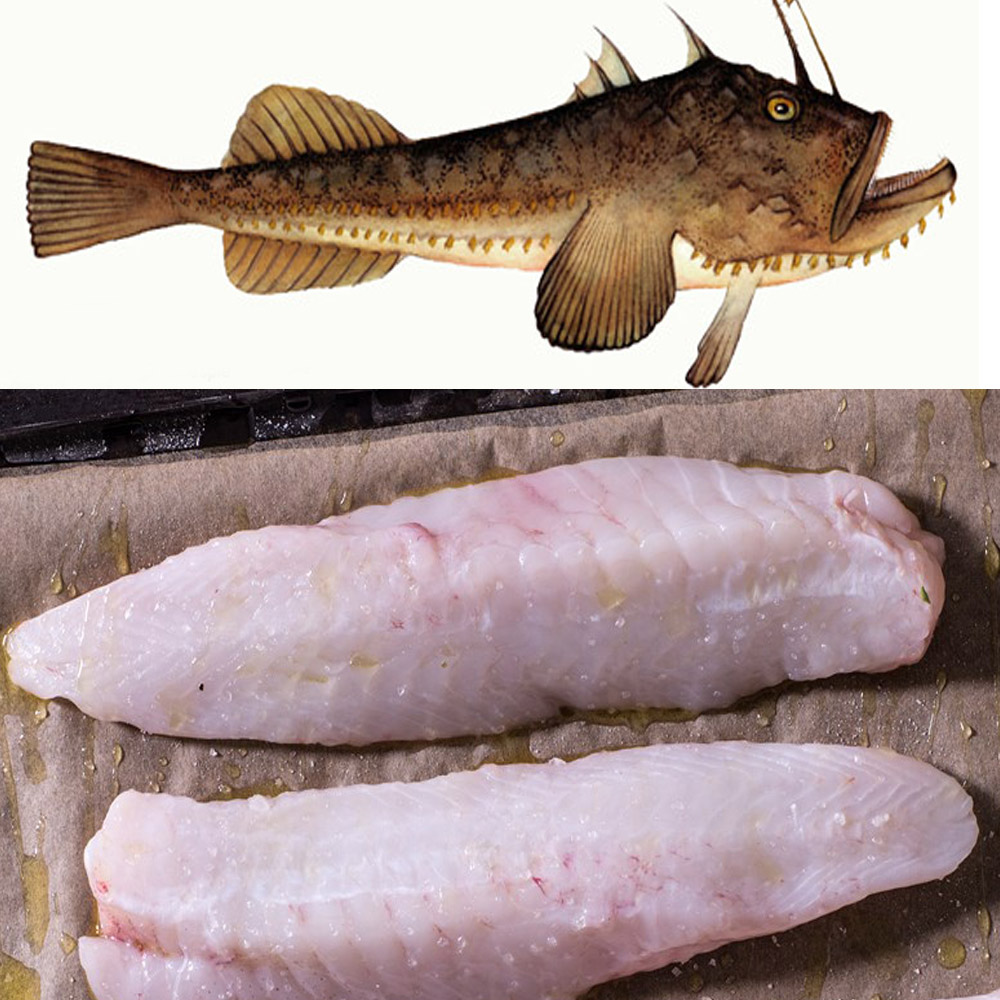 monkfish 