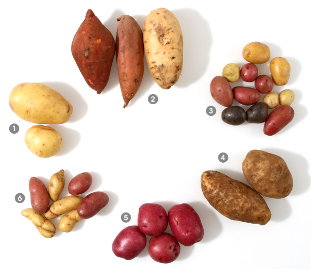 Potatoes Visual images Guide