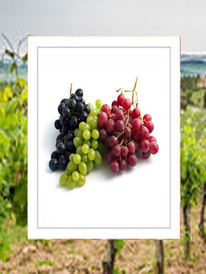 Grapes
             