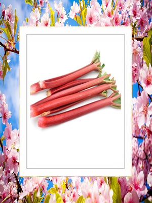 rhubarb 