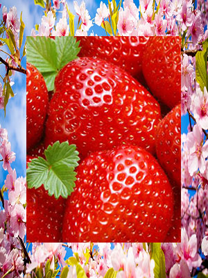 strawberries