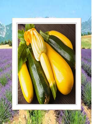 zucchini 